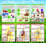 Безопасность здоровья; ЗОЖ