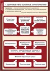 ЗОЖ - Здоровый образ жизни