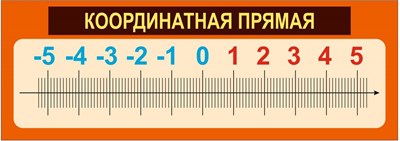 Координатная прямая стенд 850 х 300 пластик 3 мм