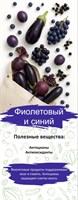 Стенд о пользе овощей и фруктов - Синий и Фиолетовый - 550 х 1420мм, ПВХ-3мм