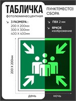 Е21tf  Пункт (место) сбора  табличка фотолюминесцентная ПВХ- 2 мм Е21tf