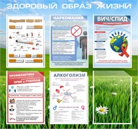 Стенд Здоровый образ жизни с вложениями о ЗОЖ размер 800 х 750мм. карман А4-6шт., ПВХ- 3 мм ЗОЖ3-1