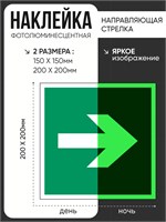 Е02-01 Направляющая стрелка  наклейка фотолюминесцентная Е02-01nf