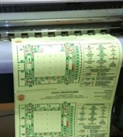 Печать плана эвакуации формата А2 фотолюминесцентный на пластике 2 мм размер 600 х 400 на сертифицированной пленке ППЭФА2