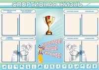 Стенд Спортивная жизнь 1400 х 1000 пластик 3 мм карманы А4 количество 8 шт