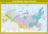 Стенд Природные зоны России 14000 х 1000 пластик 3мм