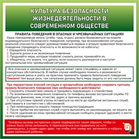 Стенд  Культура безопасности жизнедеятельности в современном обществе 1000 х 1000 пластик 3мм ОБЖ1