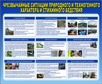 Стенд Чрезвычайные ситуации природного техногенного характера размер 1200 х 800 пластик 3 мм 0252