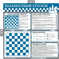 Стенд Шахматный уголок 800 х 800 ПВХ-3мм