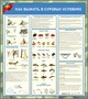 Комплект стендов в кабинет ОБЗР - 7 шт. (750 х 1000мм) ПВХ-3мм ОБЗР36