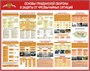 Стенд Основы гражданской обороны и защиты от чрезвычайных ситуаций  размер 1000 х 800 пластик 3 мм