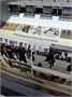 Комплект стендов "Военная подготовка" - в комплекте 6шт. размер каждого 1200 х 1200, ПВХ-3мм 2678