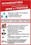 Стенд Уголок здоровья фигурный пластик 3мм 1160 х 840 мм, 5 карманов формата А4, 5 листовок о ЗОЖ УЗ12