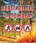 Табличка Берегите лес от пожара 500 х 600 мм  пластик 5 мм А6