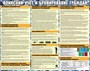 Стенд Воинский учет и бронирование граждан  размер 1000 х 800 пластик 3 мм с изменениями от 2024г 2656