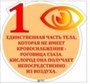 Комплект стендов Интересные факты о человеческом организме, пластик 3мм, 1830 х 400, человеческая фигура 950 х 1790,  QR-код, 200х230, табличка фигурная (750х710, 710х710х2шт,710х740, 710х760, 740х740,710х 05706