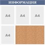 Пробковый стенд "ИНФОРМАЦИЯ" (синий заголовок) 735 х 735, ПВХ-3мм, карман А4-4шт.